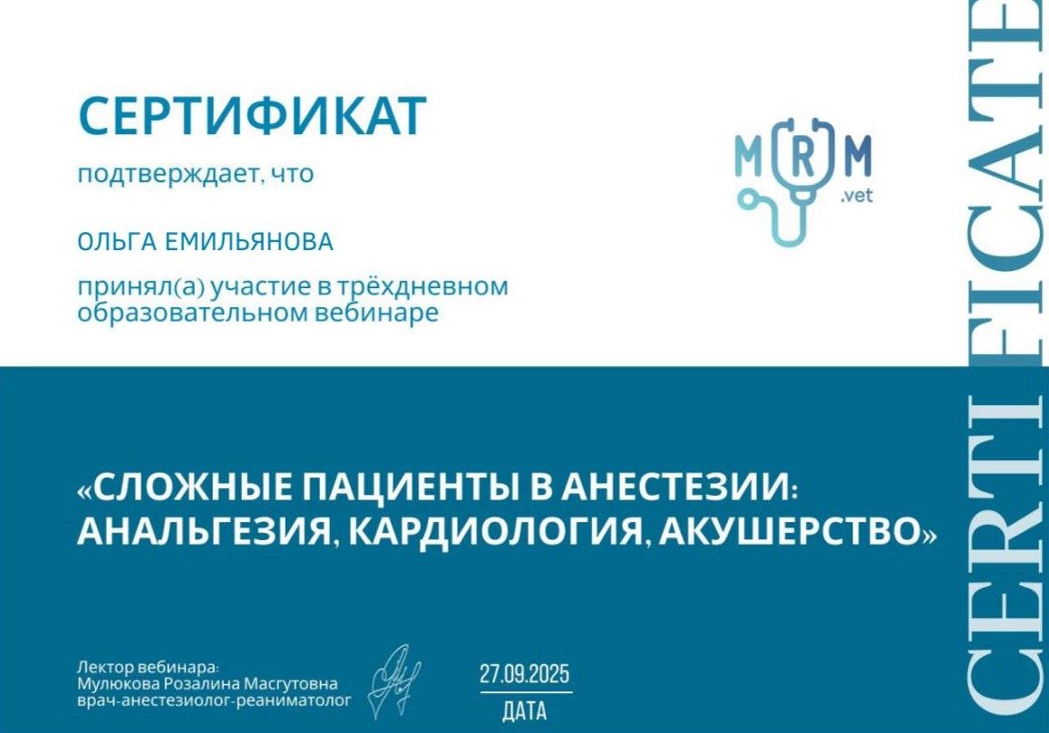Документ или сертификат