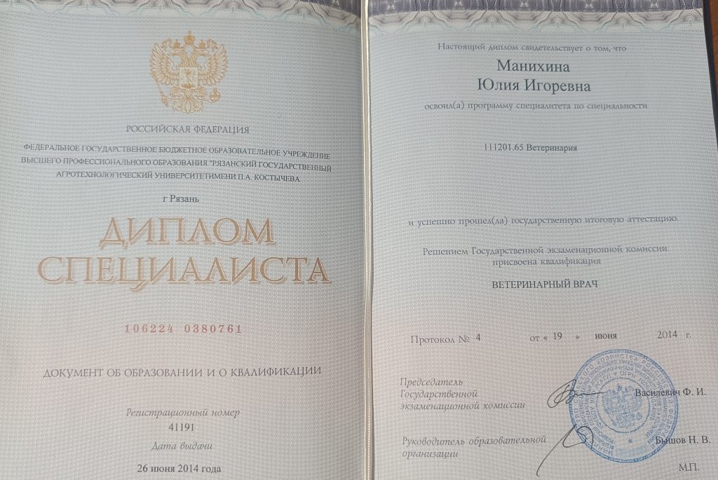 Документ или сертификат