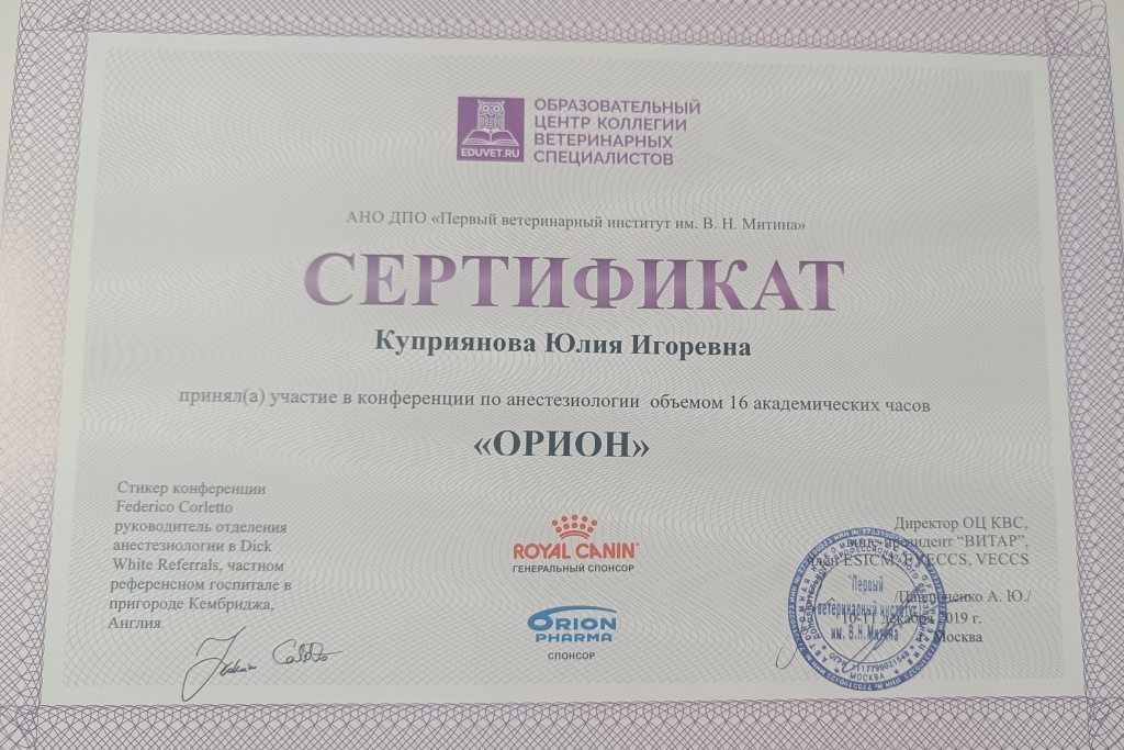 Документ или сертификат