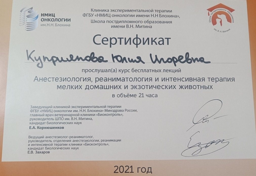 Документ или сертификат