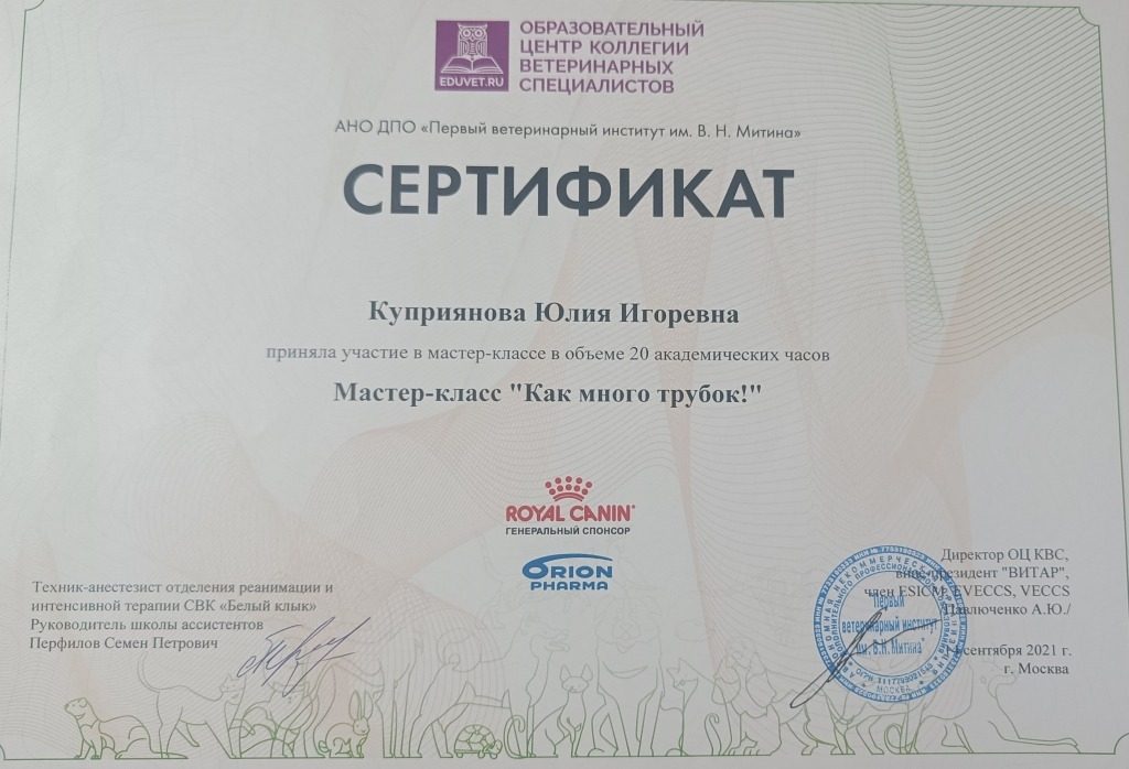 Документ или сертификат