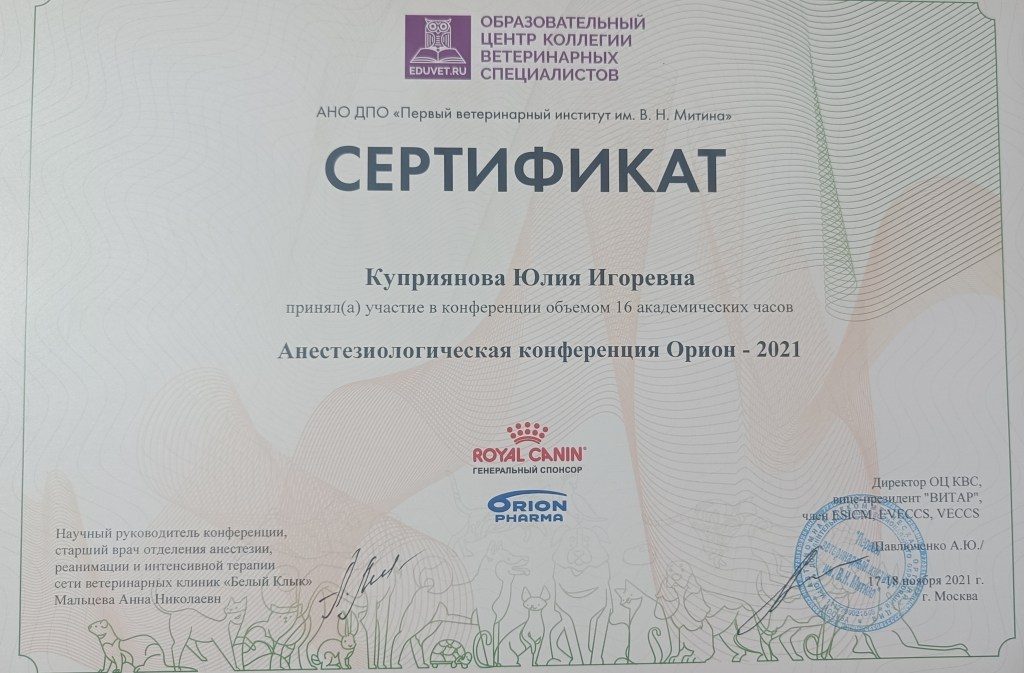 Документ или сертификат