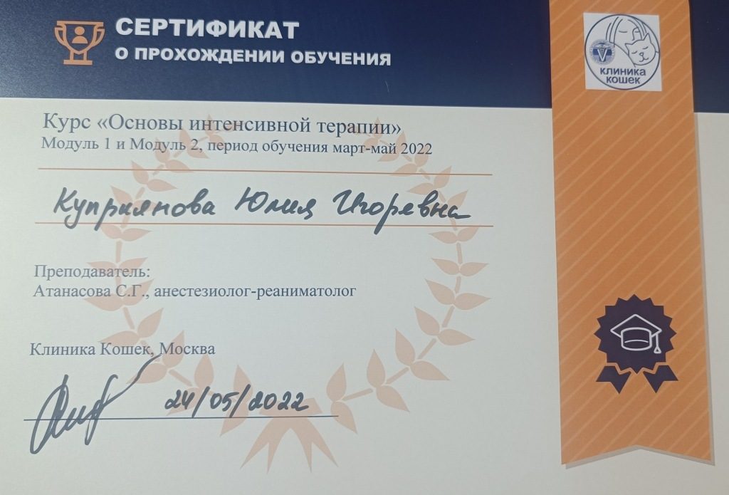 Документ или сертификат