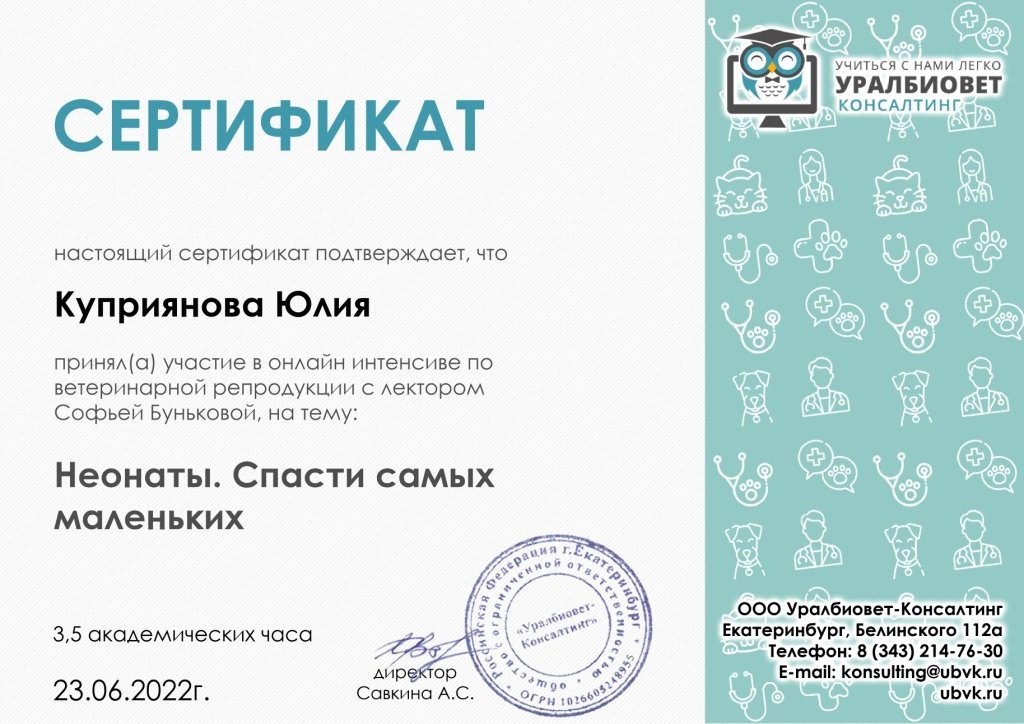 Документ или сертификат