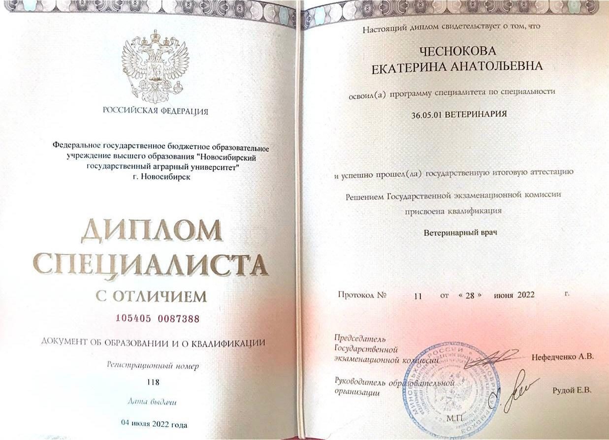 Документ или сертификат