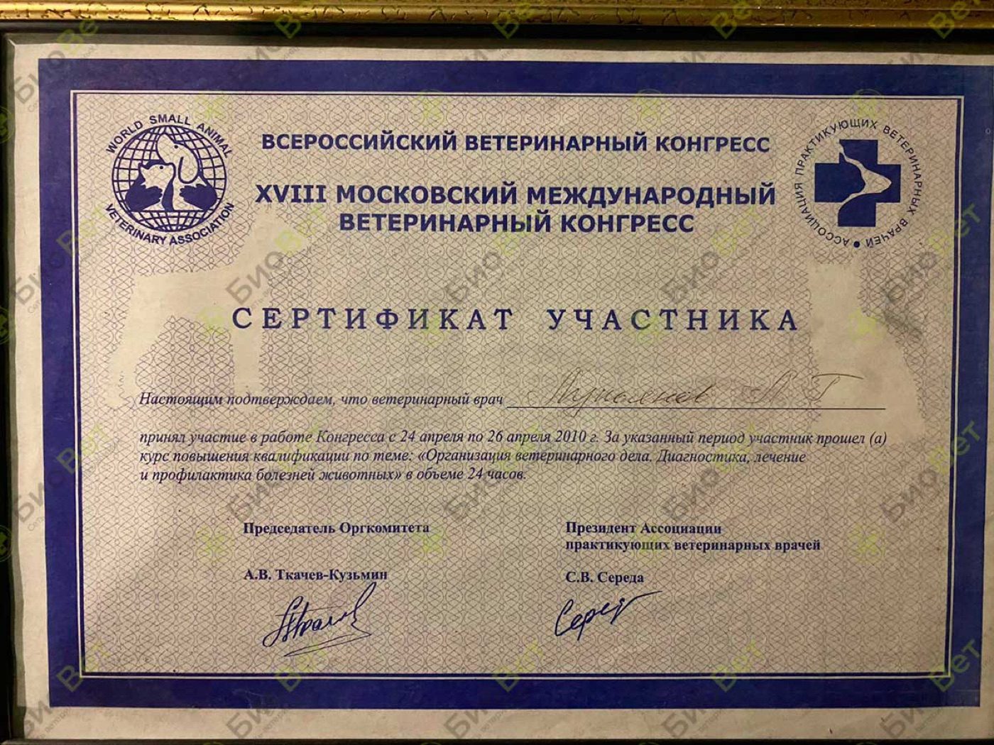 Документ или сертификат