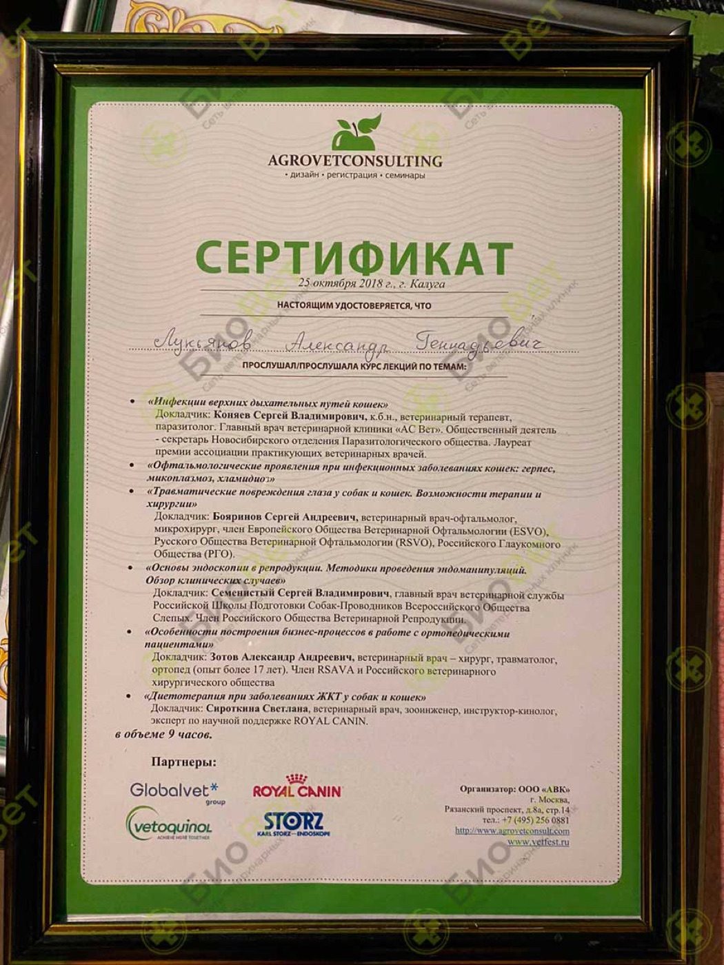 Документ или сертификат