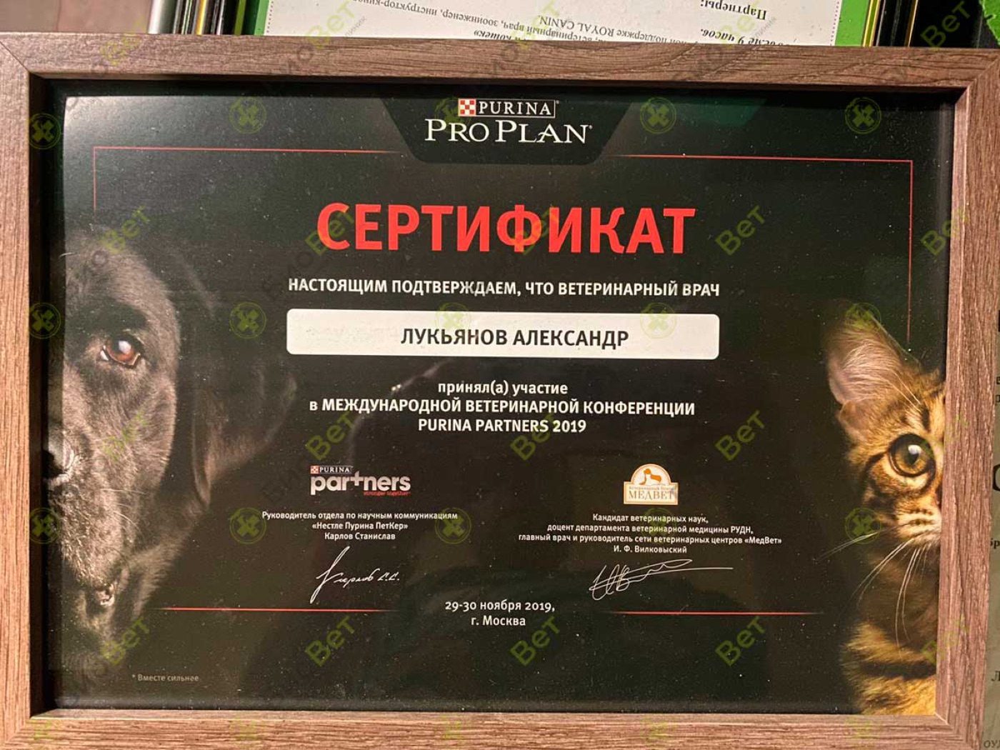 Документ или сертификат