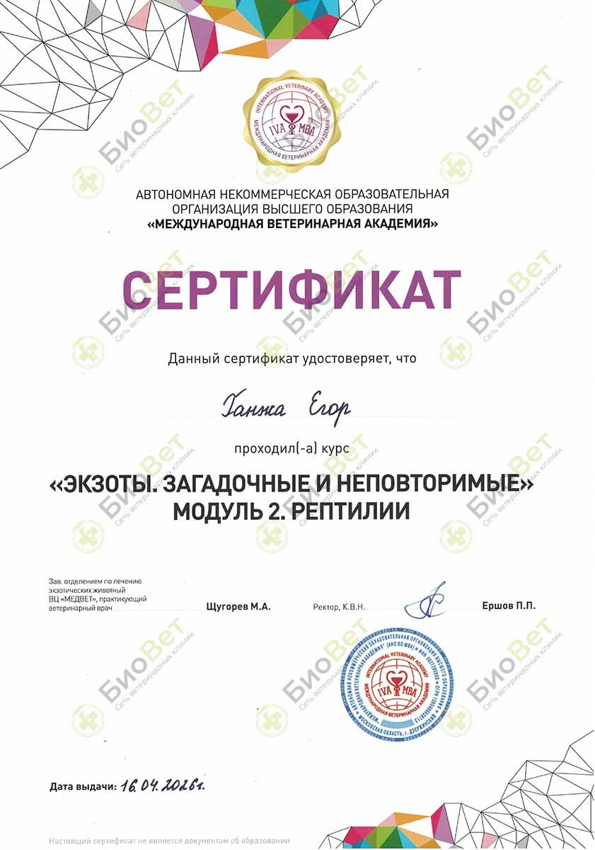 Документ или сертификат