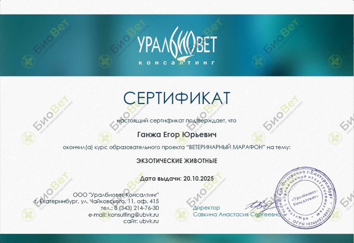 Документ или сертификат