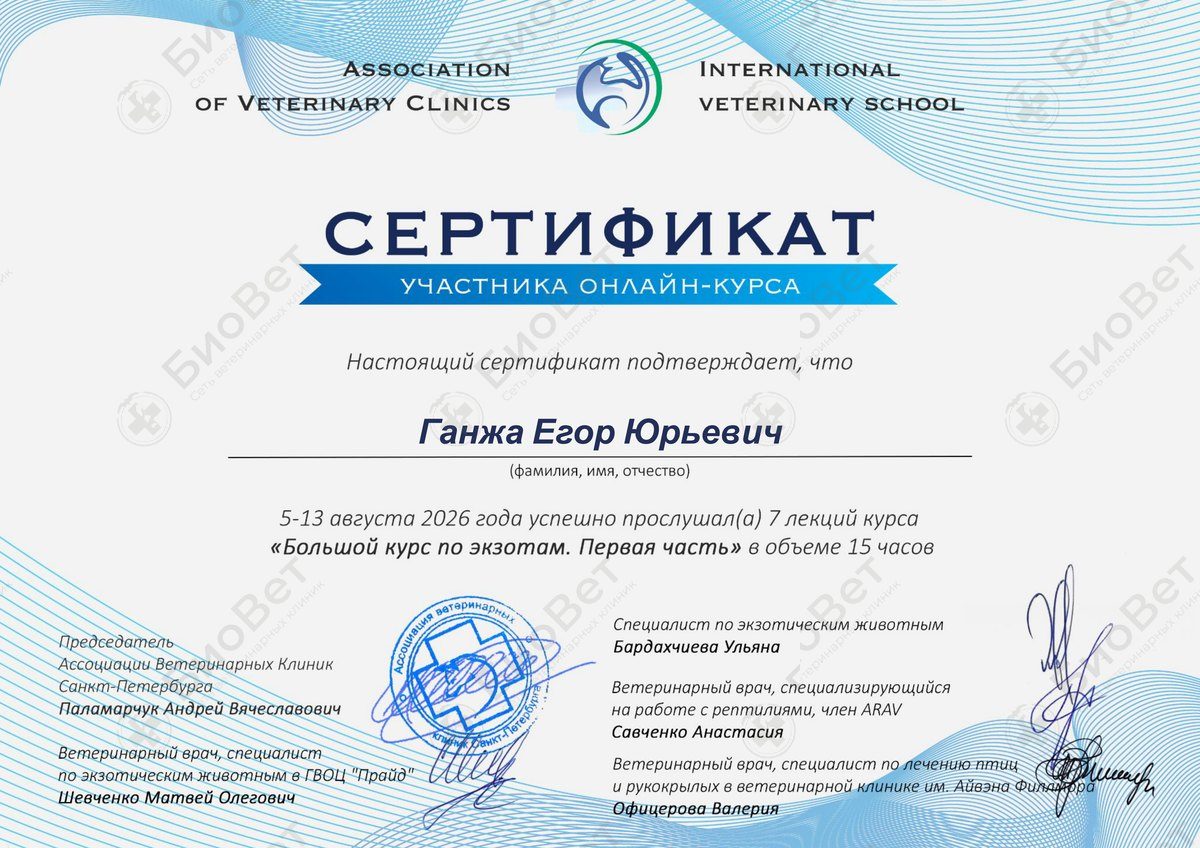 Документ или сертификат