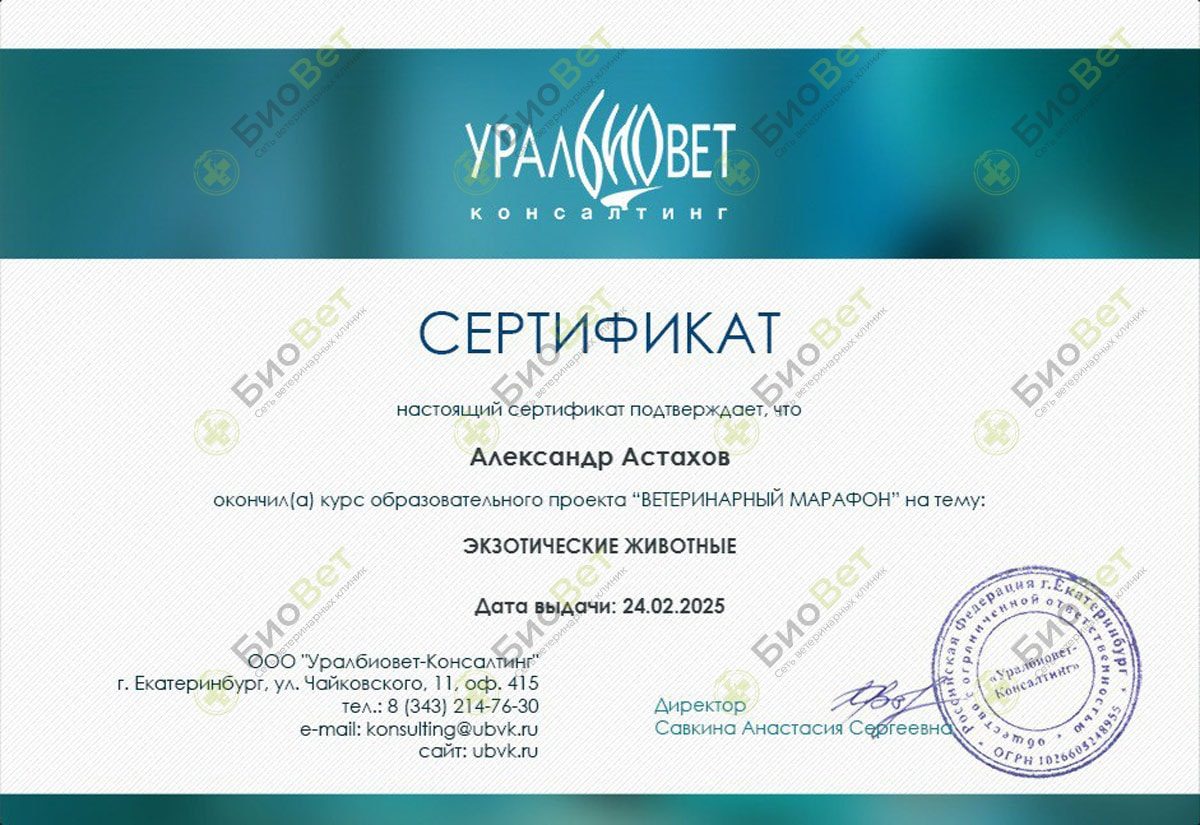 Документ или сертификат