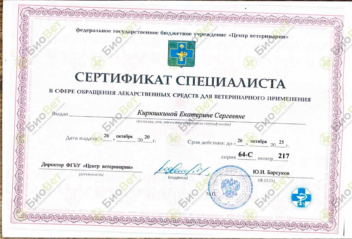 Документ или сертификат