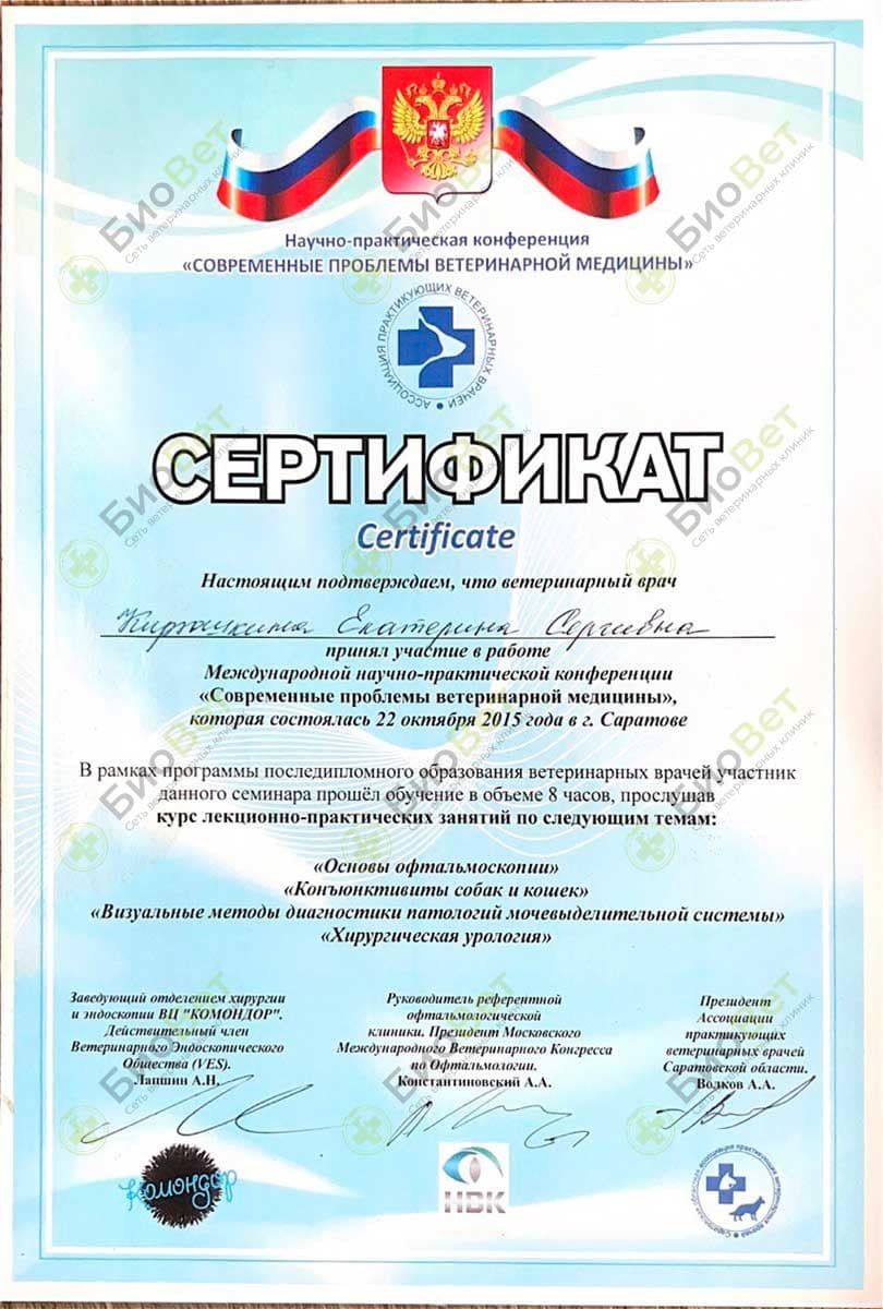 Документ или сертификат