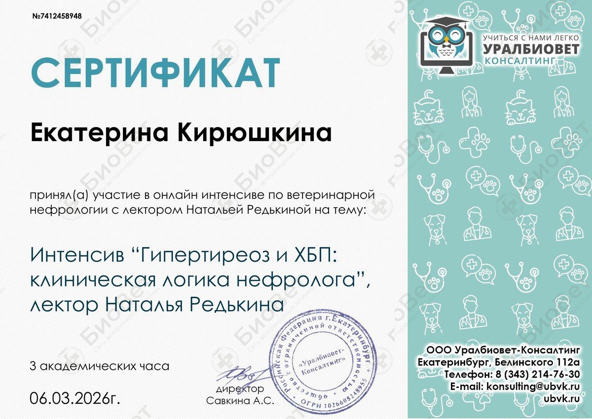 Документ или сертификат