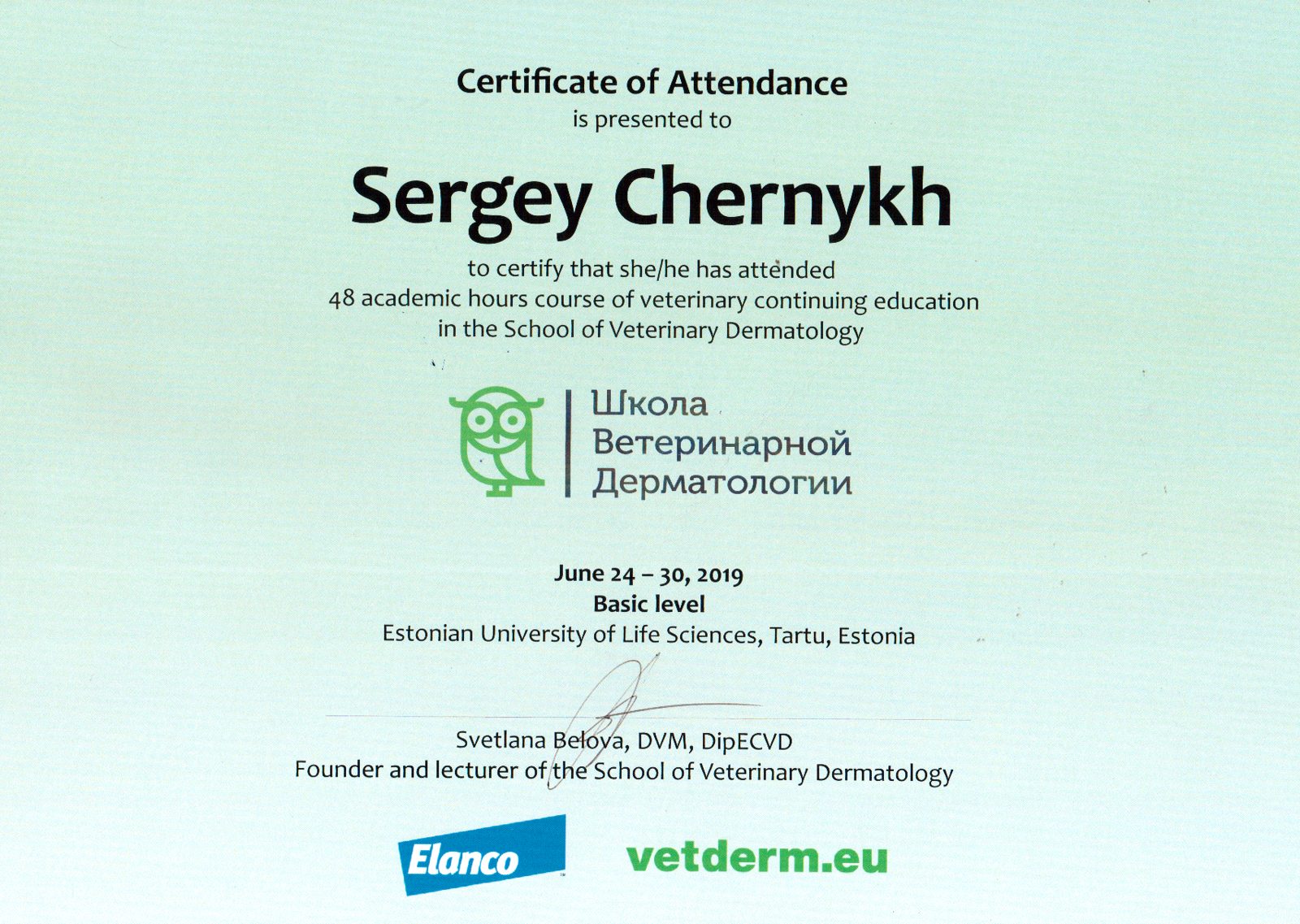 Документ или сертификат