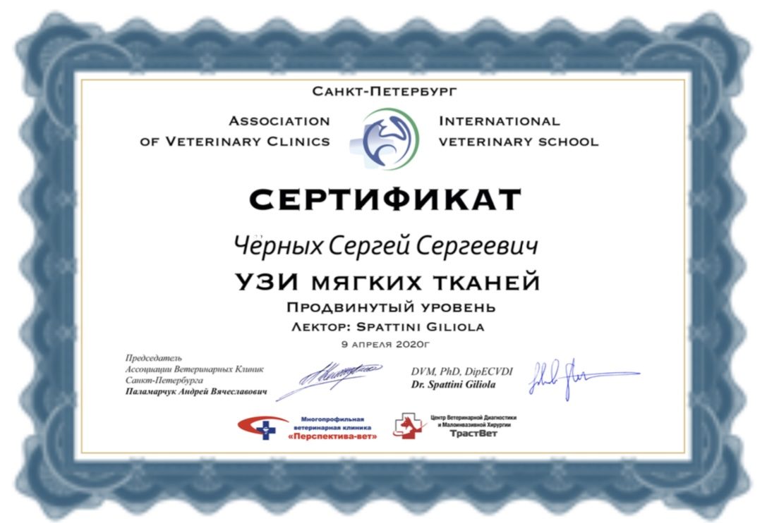 Документ или сертификат