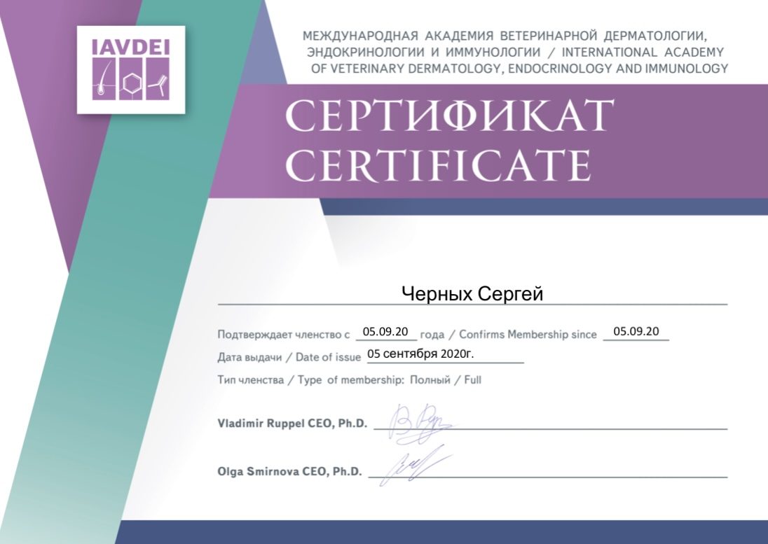 Документ или сертификат