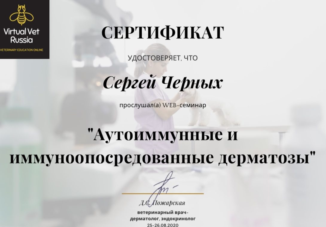 Документ или сертификат