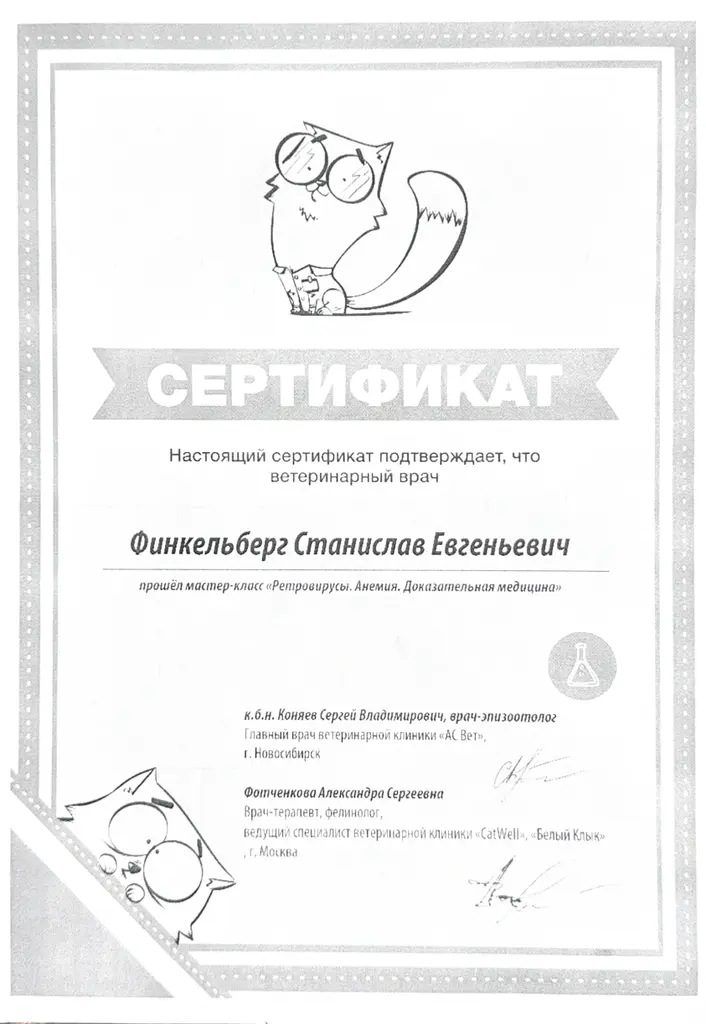 Документ или сертификат