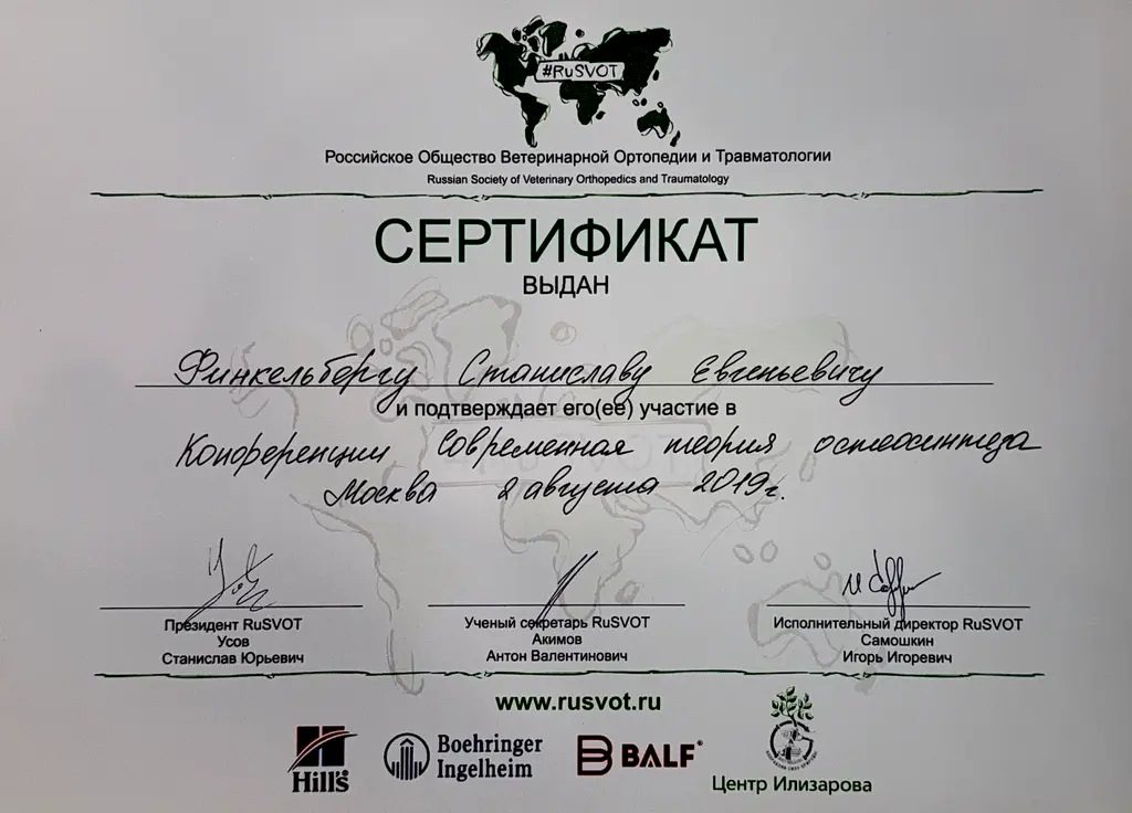 Документ или сертификат