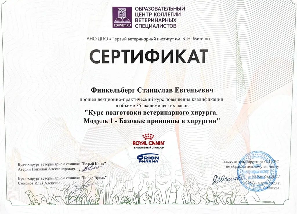 Документ или сертификат