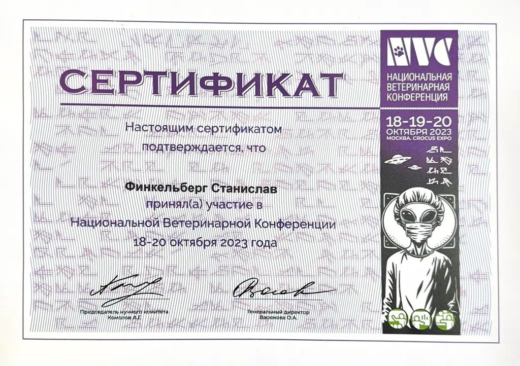 Документ или сертификат