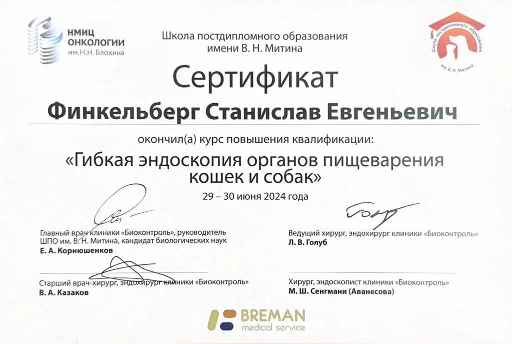 Документ или сертификат