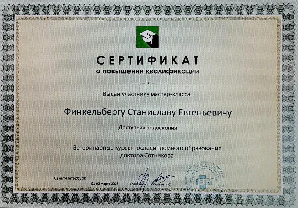 Документ или сертификат