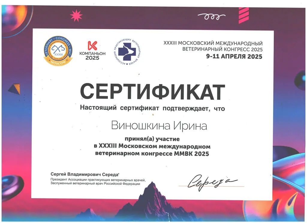 Документ или сертификат