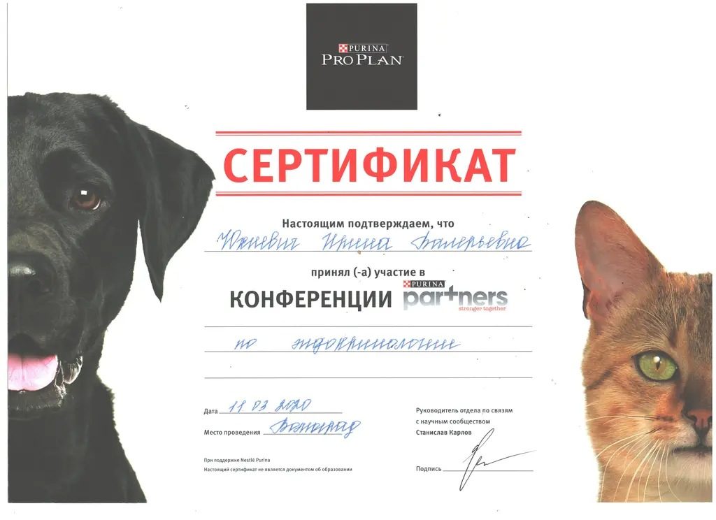 Документ или сертификат