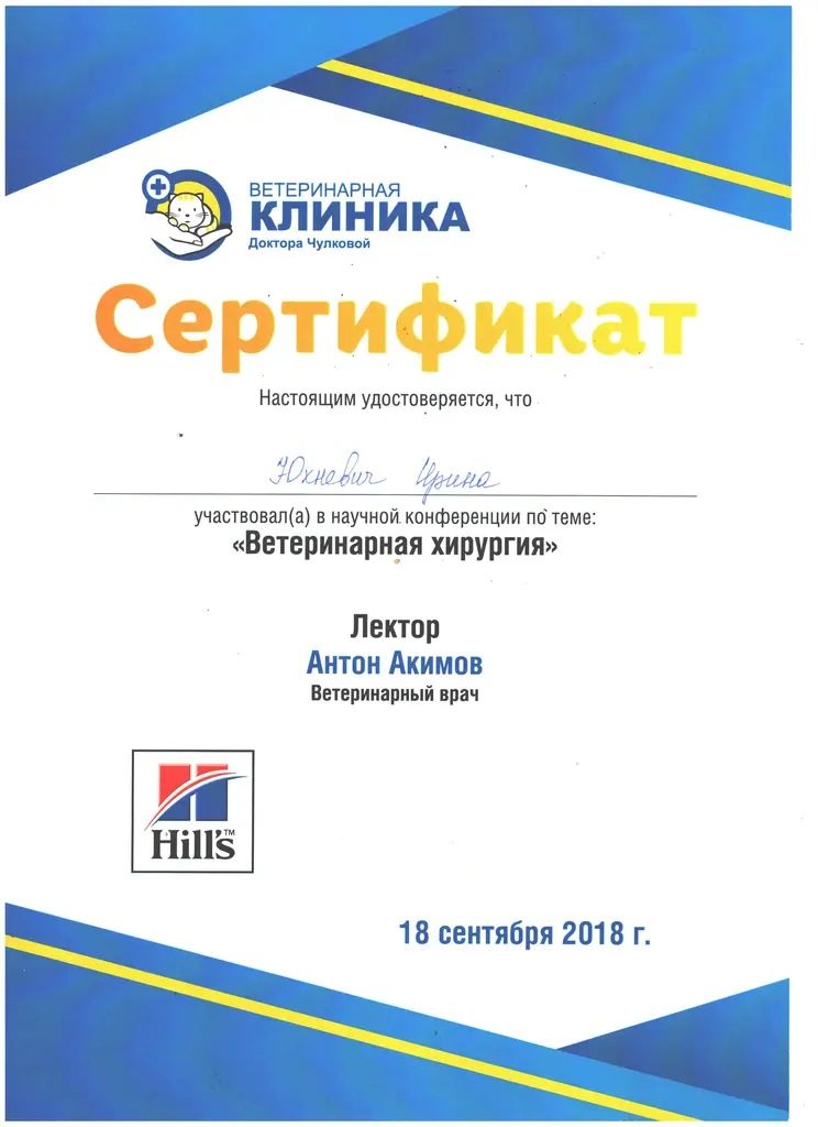 Документ или сертификат