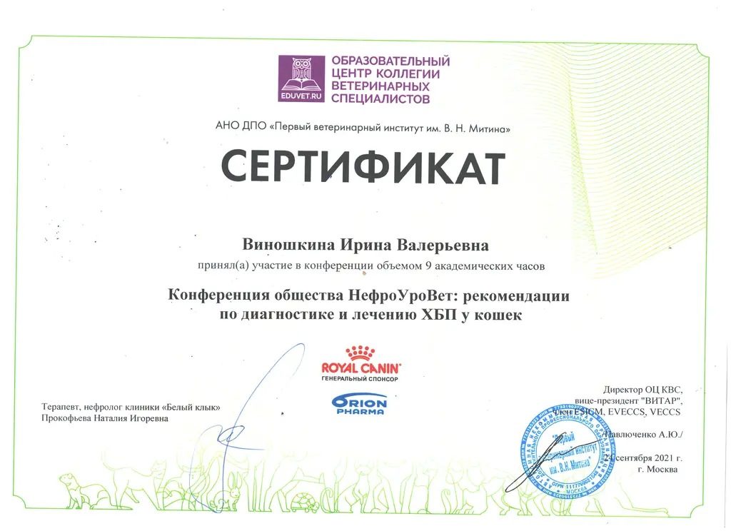 Документ или сертификат
