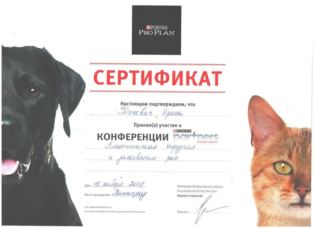 Документ или сертификат