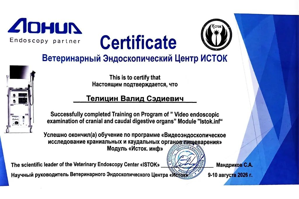 Документ или сертификат