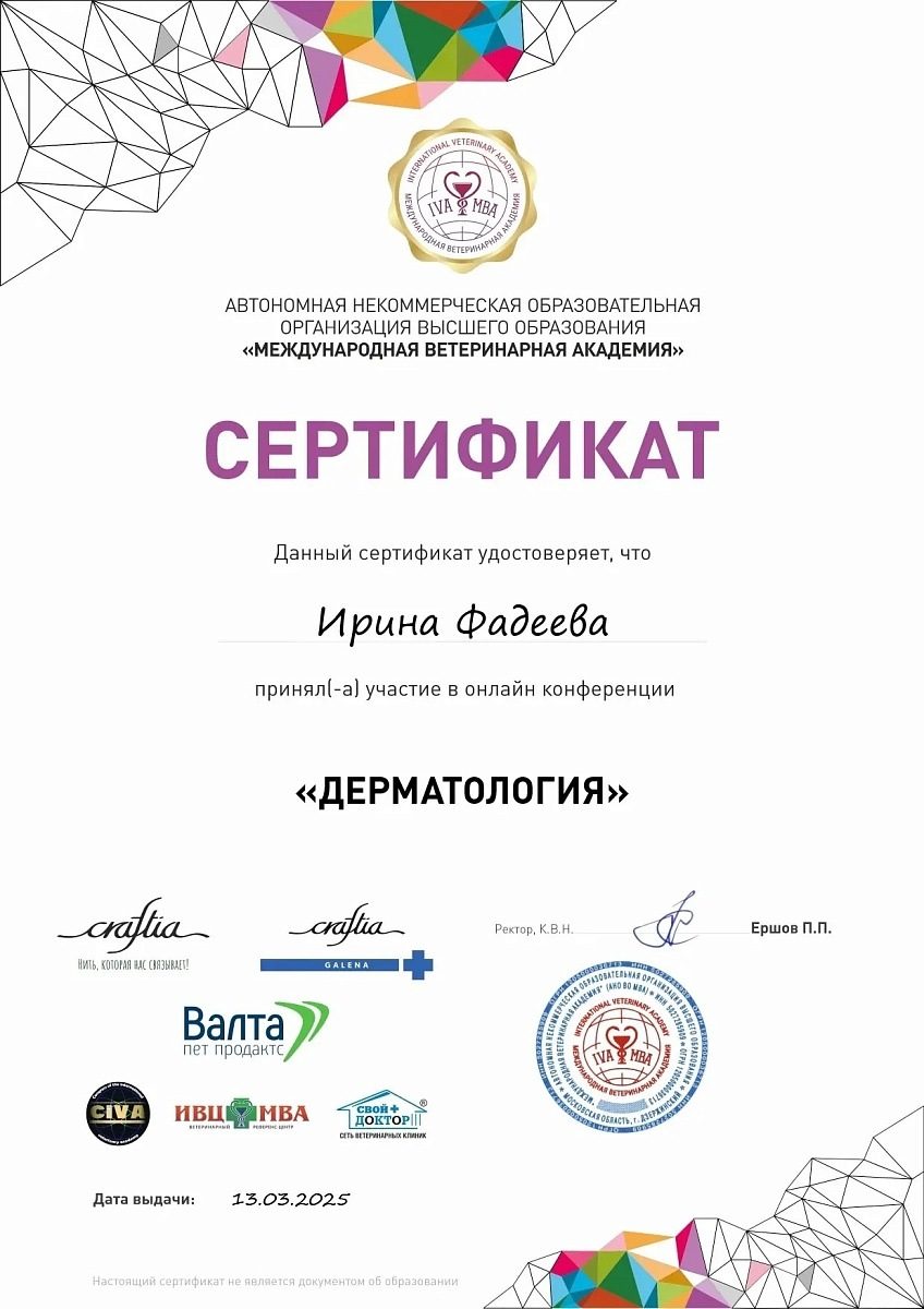Документ или сертификат