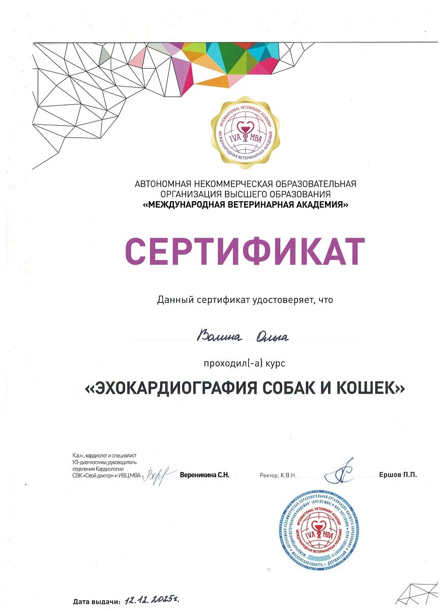 Документ или сертификат