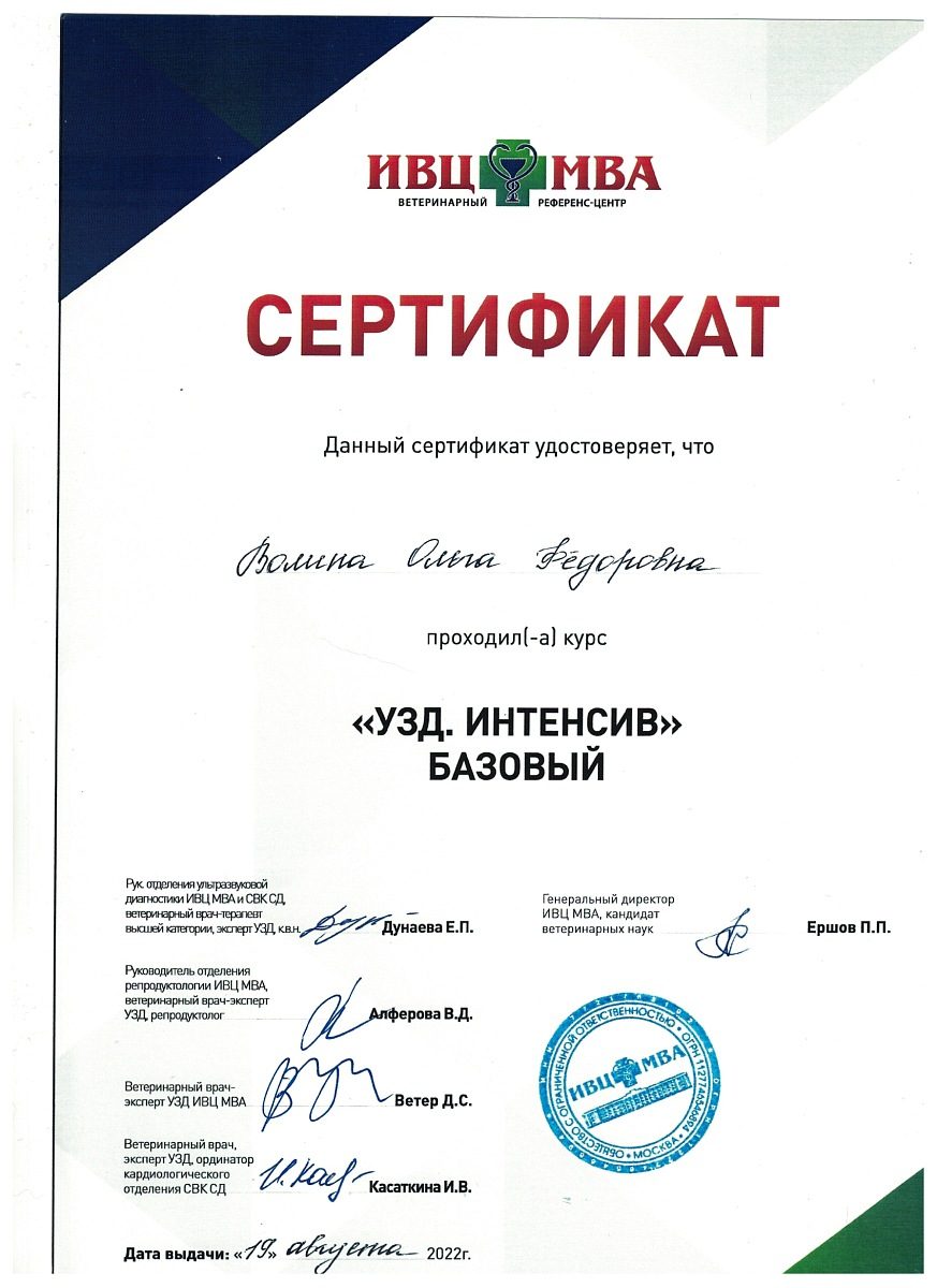 Документ или сертификат