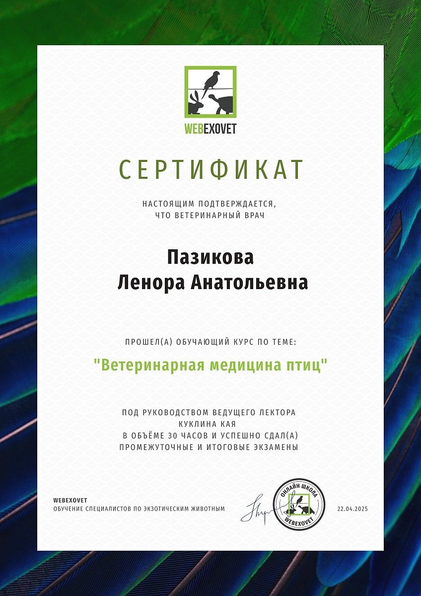 Документ или сертификат