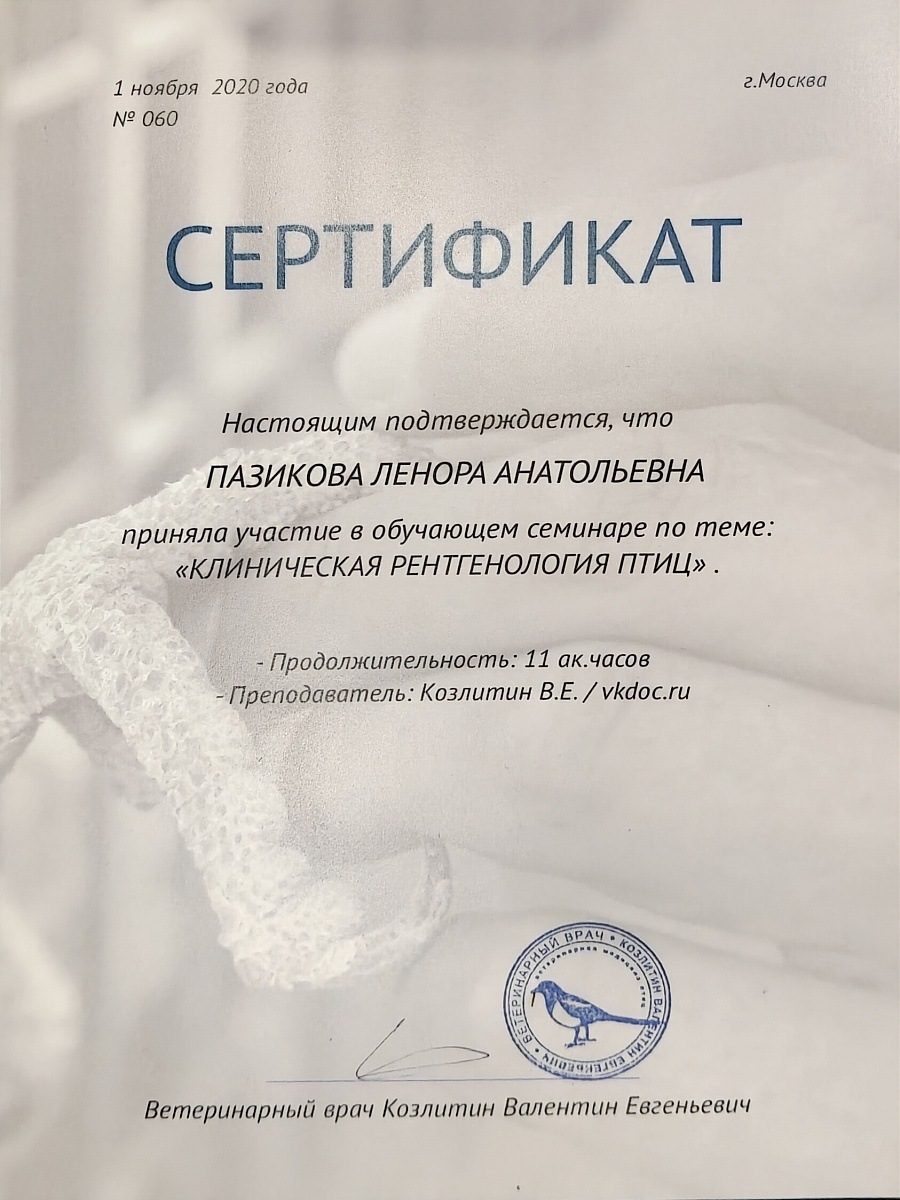 Документ или сертификат