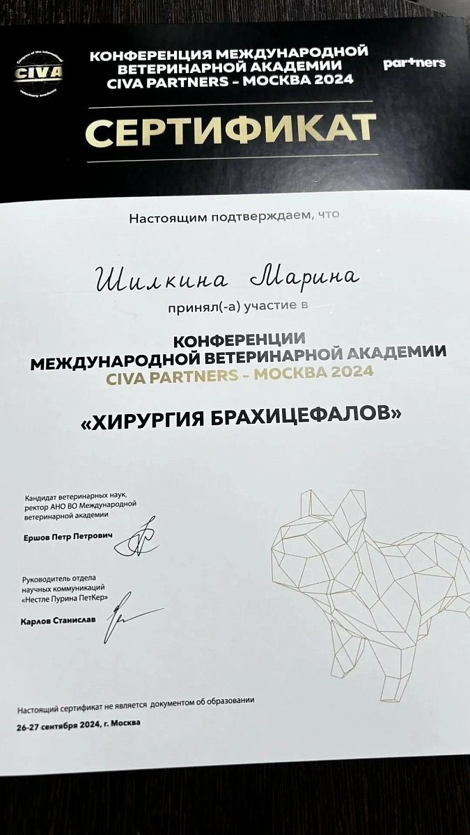 Документ или сертификат