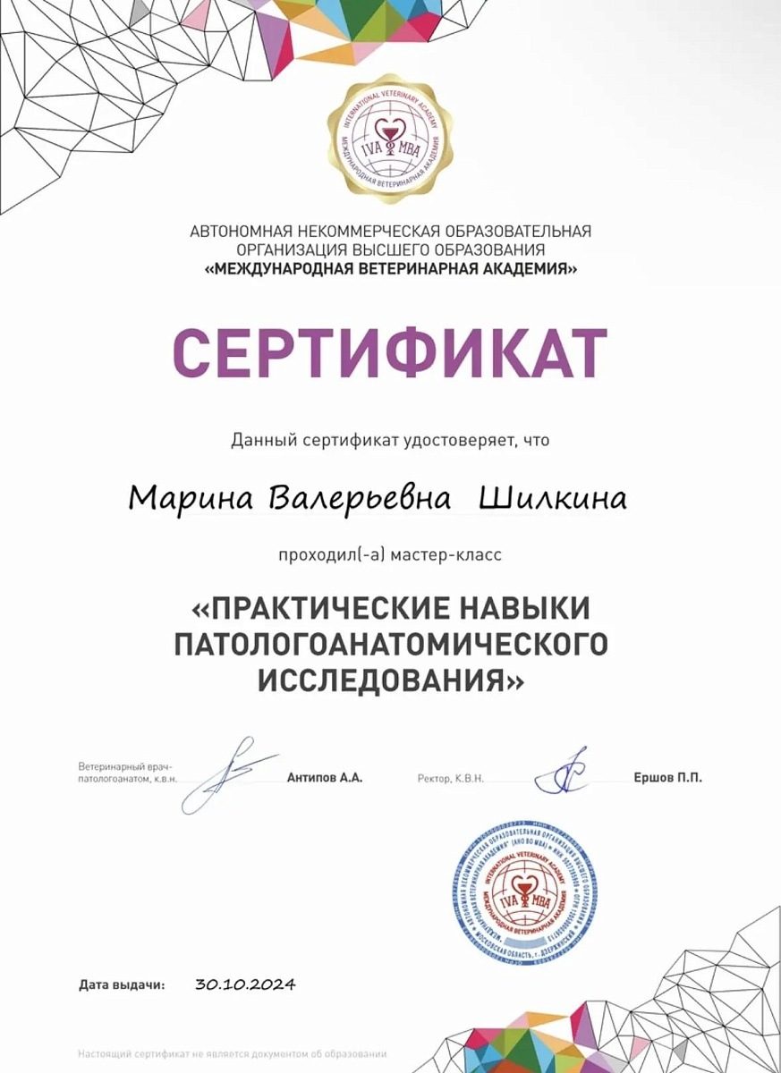 Документ или сертификат