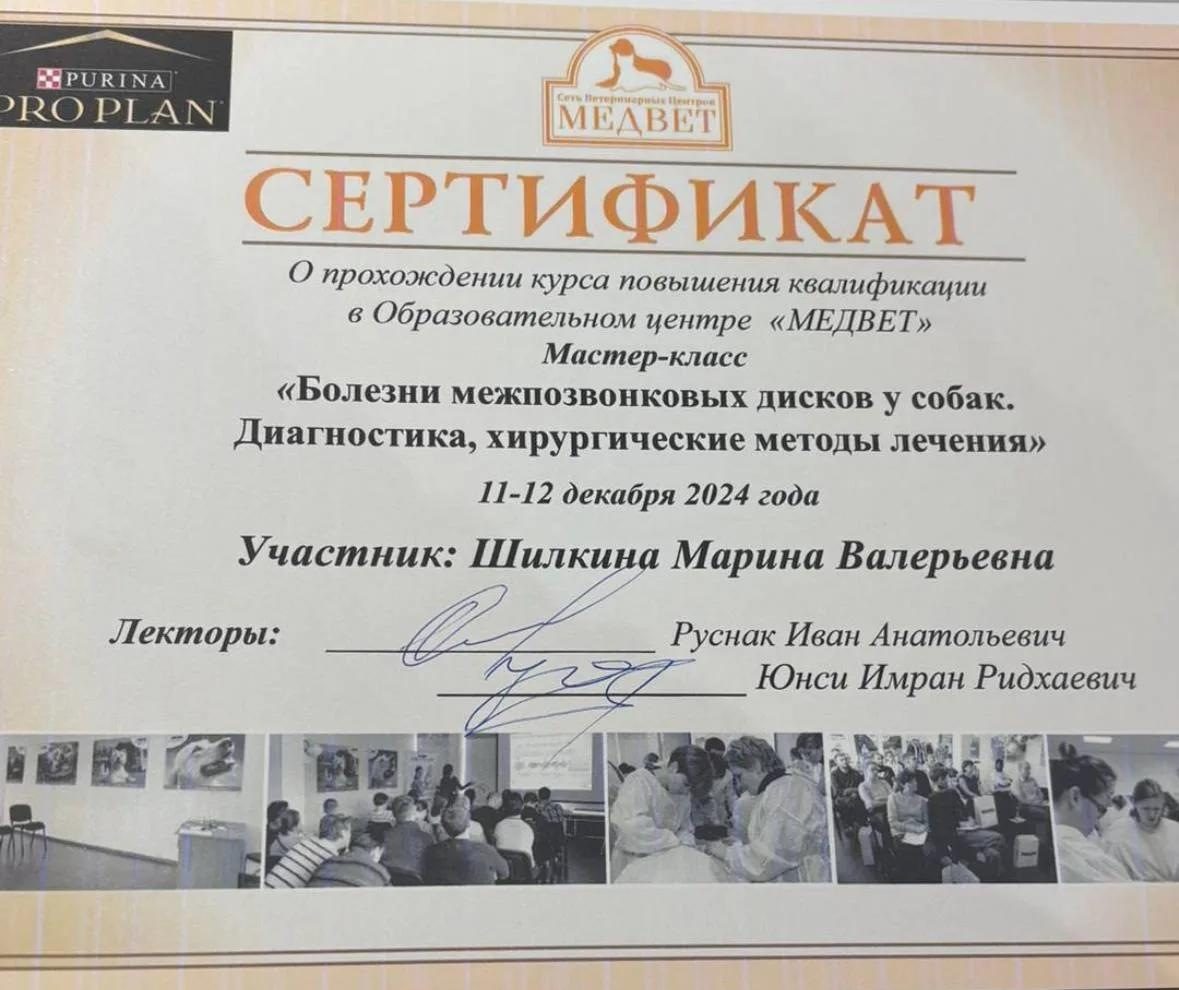 Документ или сертификат