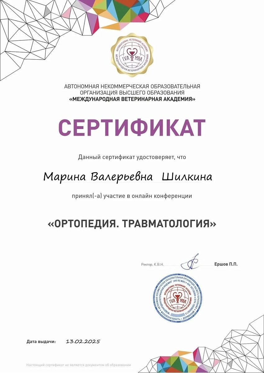 Документ или сертификат
