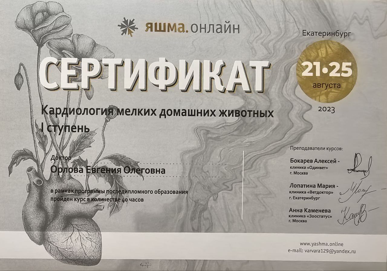 Документ или сертификат