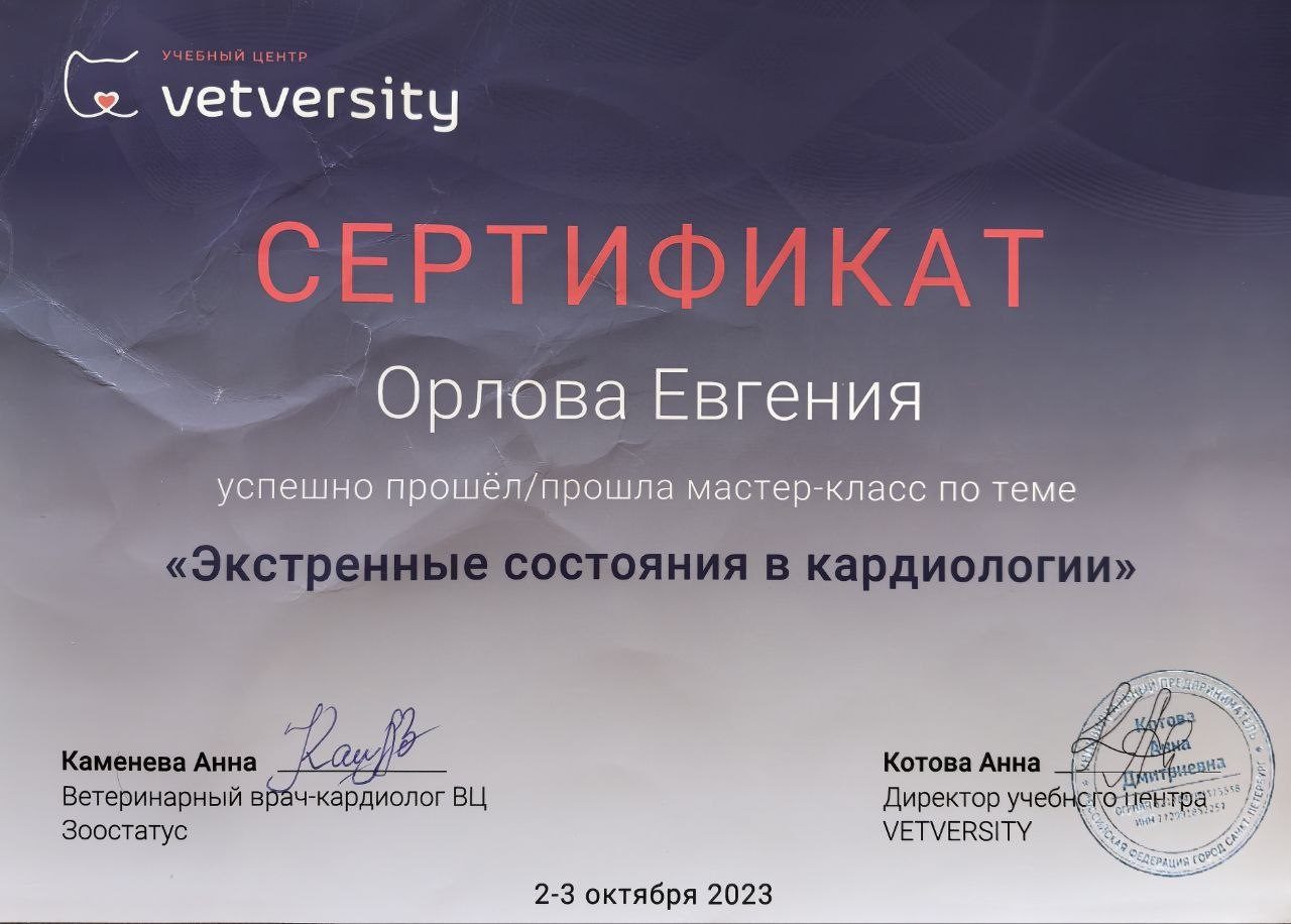 Документ или сертификат