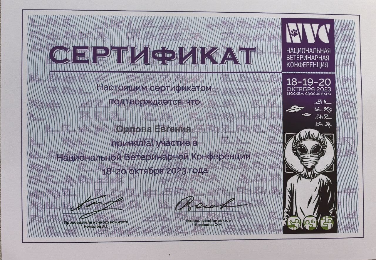 Документ или сертификат