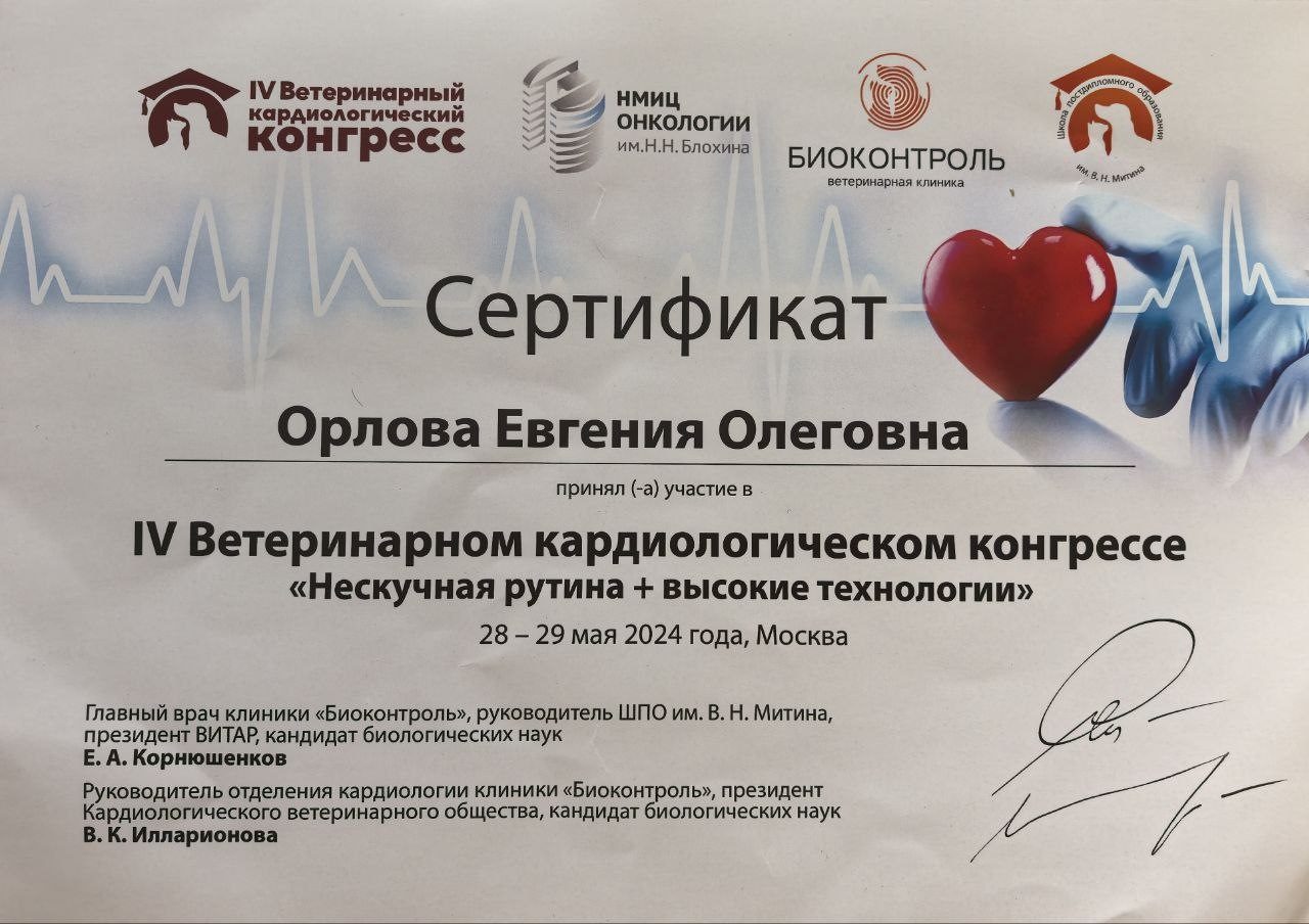 Документ или сертификат
