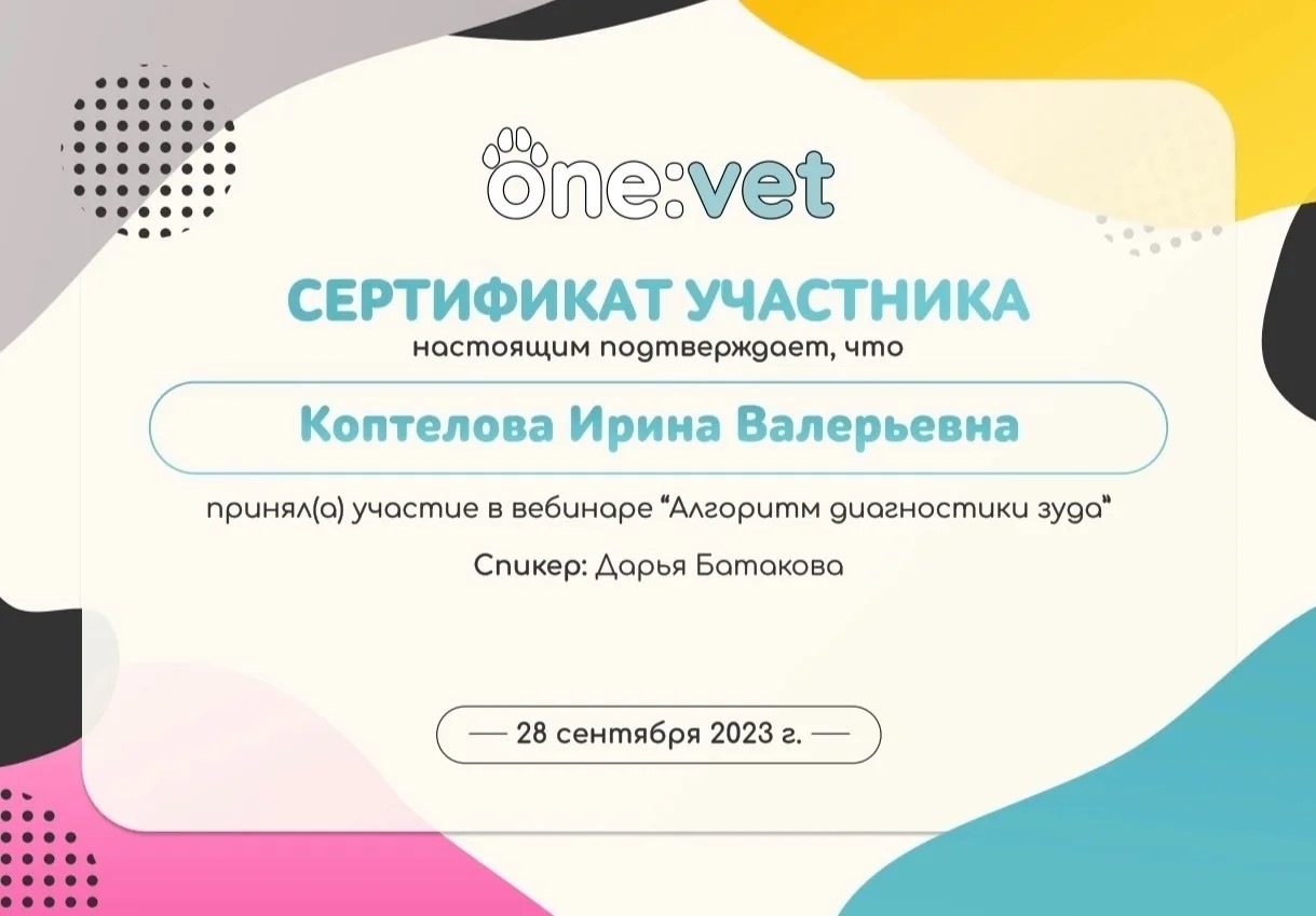 Документ или сертификат