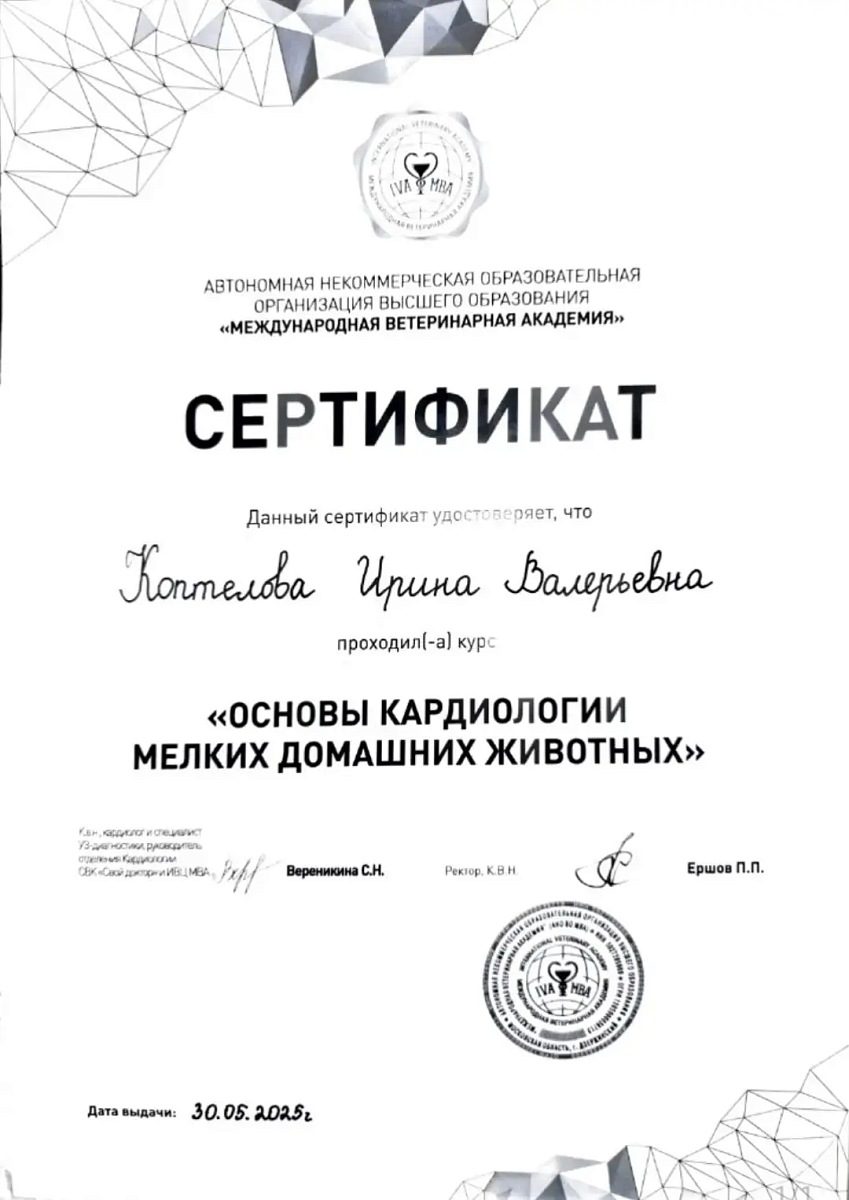Документ или сертификат